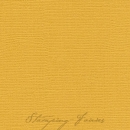 Bazzill Leinenstruktur CS "Lima"